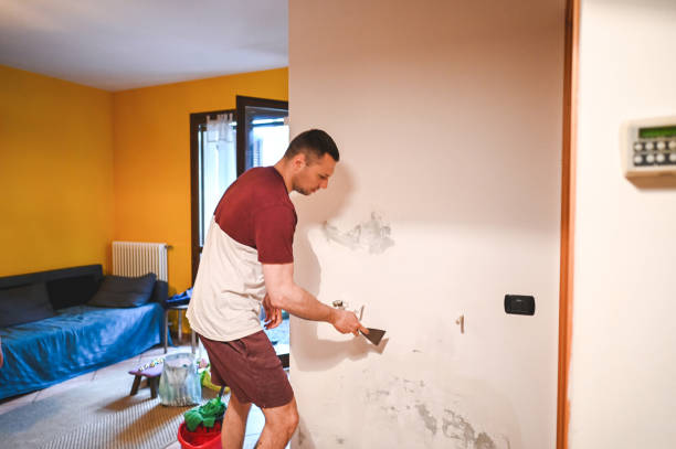 Best Certified Mold Removal  in Shandon, CA
